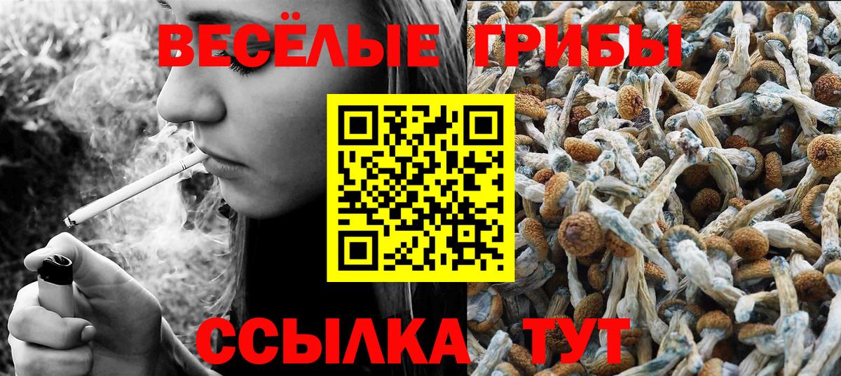 Галлюциногенные грибы ЛСД  Галлюциногенные грибы GOLDEN TEACHER  Вход с VPN  наркошоп  Узловая 