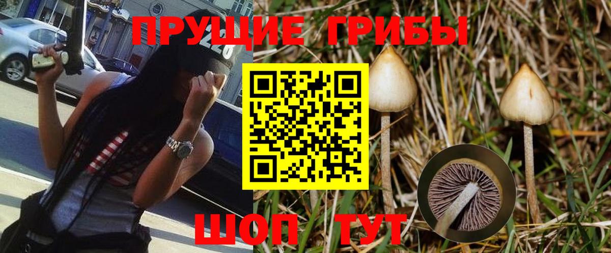Псилоцибиновые грибы MAGIC MUSHROOMS Узловая